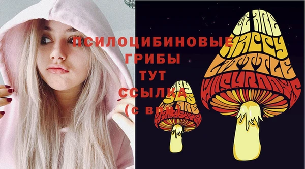 амф Абинск