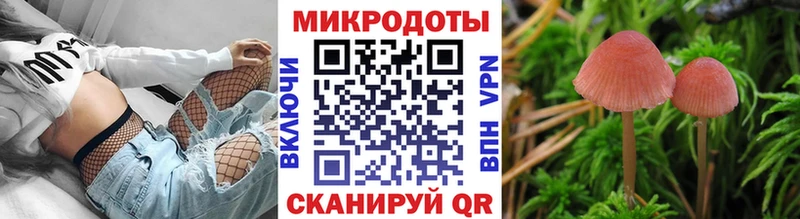 Галлюциногенные грибы мухоморы omg маркетплейс Старая Русса